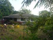 Near Paud
