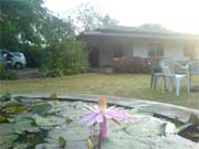Gorjious view of mulshi