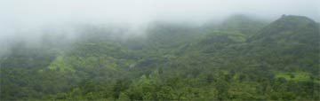 Rain in mountain