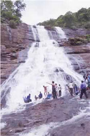 resorts in panvel,hotels in alibaug,alibaug,alibaug hotels,picnic spots near mumbai,hotel petron nagothane,kamath hotels,Veg kolhapuri,nagothane.one day picnic in pune,One-Day Picnics,School Camps, Waterfalls, Outings,Conferences, Training Programmes, Outbound Programmes, Meetings,Week End Stay Resort For Company People,Family Get Together, Parties, Engagements, Weddings.RESORTS NEAR MUMBAI, 