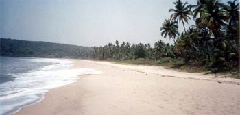 Velneshwar Beach Maharashtra, Velneshwar Beach Tour, Tour to Velneshwar Beaches, hotel, resort, Velneshwar Beach Traveling