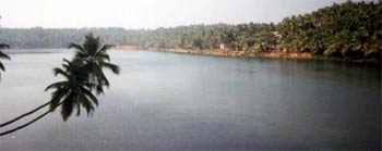 Bassein Beaches, Maharashtra, Beach near Vasa, picnic, tour, visit vasai, vasai beach